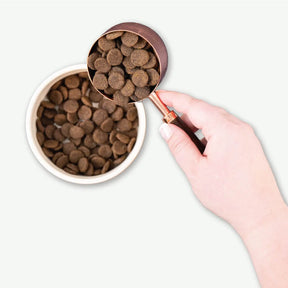 Earthborn Holistic Venture - All Breeds, Adult Dog Alaska Pollock Meal & Pumpkin Recipe Dry Dog Food - Southern Agriculture 