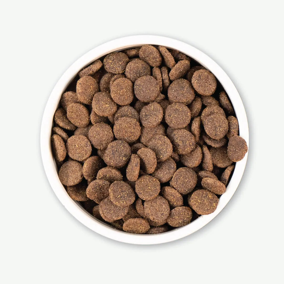 Earthborn Holistic Venture - All Breeds, Adult Dog Alaska Pollock Meal & Pumpkin Recipe Dry Dog Food - Southern Agriculture 