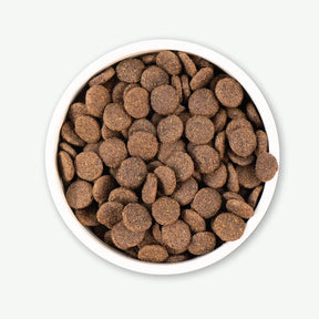 Earthborn Holistic Venture - All Breeds, Adult Dog Alaska Pollock Meal & Pumpkin Recipe Dry Dog Food - Southern Agriculture 