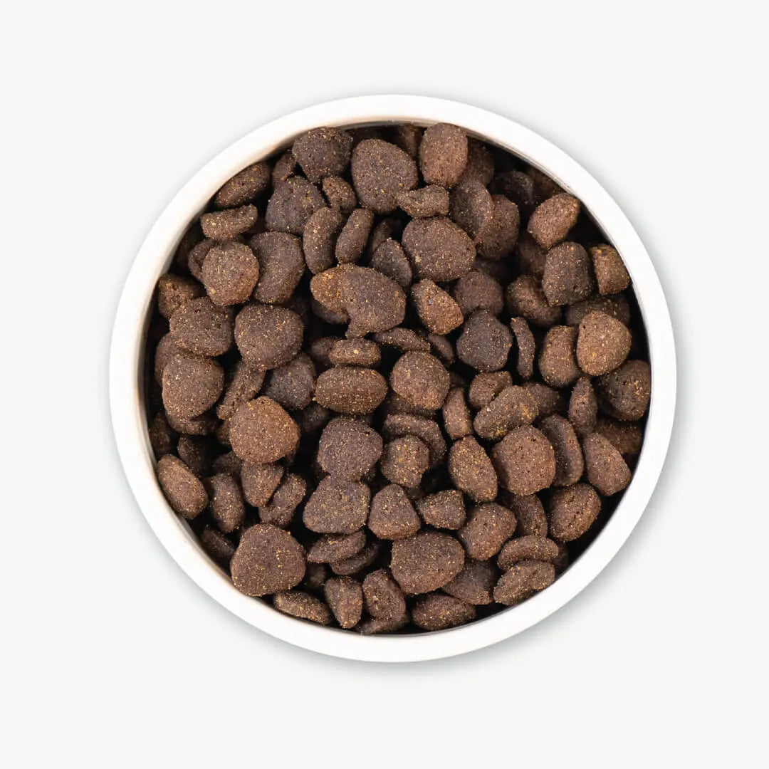 Earthborn Holistic Venture - All Breeds, Adult Dog Rabbit Meal & Pumpkin Recipe Dry Dog Food - Southern Agriculture 
