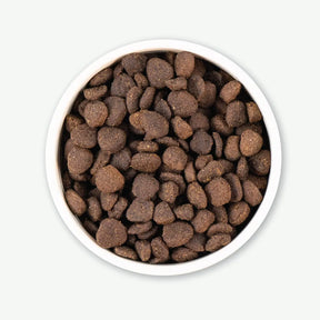Earthborn Holistic Venture - All Breeds, Adult Dog Rabbit Meal & Pumpkin Recipe Dry Dog Food - Southern Agriculture 