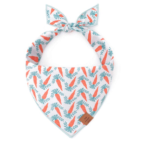 Foggy Dog - Bandana Dog Rifle Paper Co. x TFD Easter Reversible