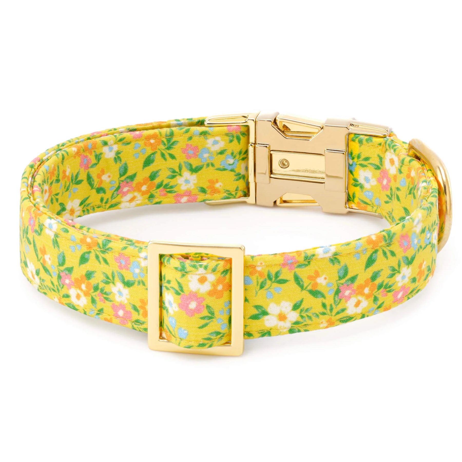 The Foggy Dog - Dog Collar Sunny Meadow
