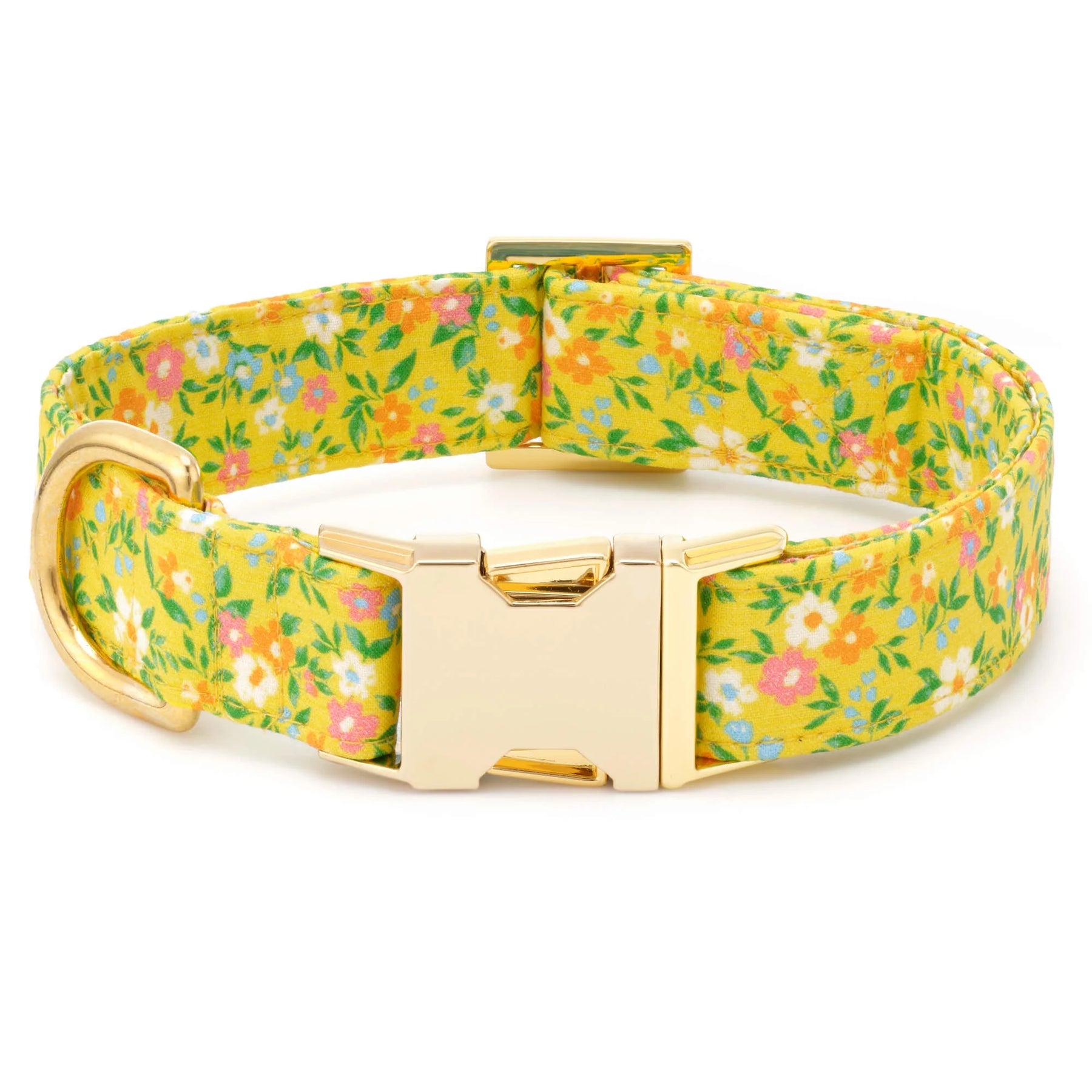 The Foggy Dog - Dog Collar Sunny Meadow