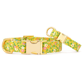The Foggy Dog - Dog Collar Sunny Meadow