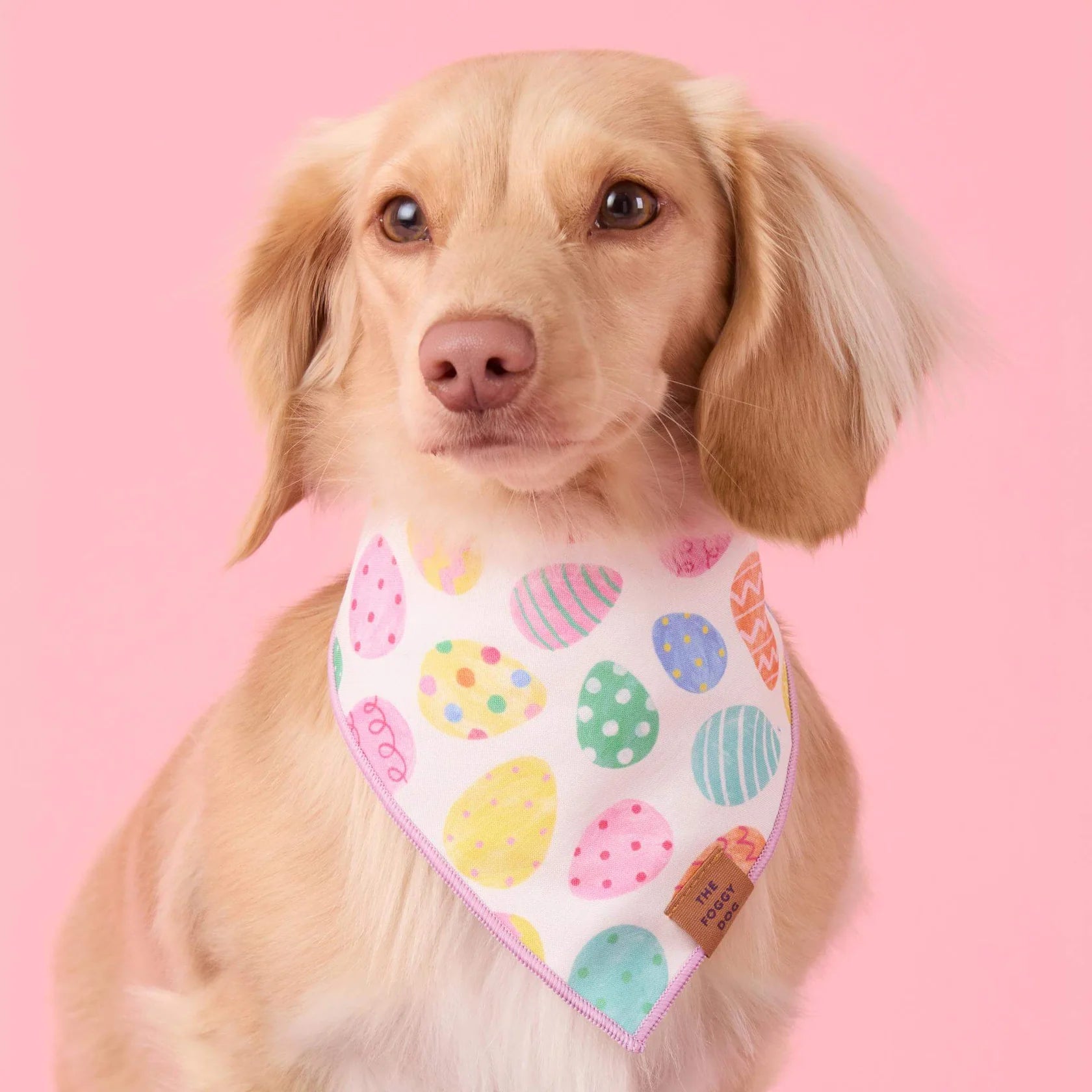 Foggy Dog - Bandana Dog Easter Eggs Reversible