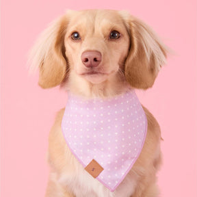 Foggy Dog - Bandana Dog Easter Eggs Reversible