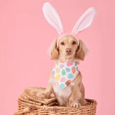 Foggy Dog - Bandana Dog Easter Eggs Reversible