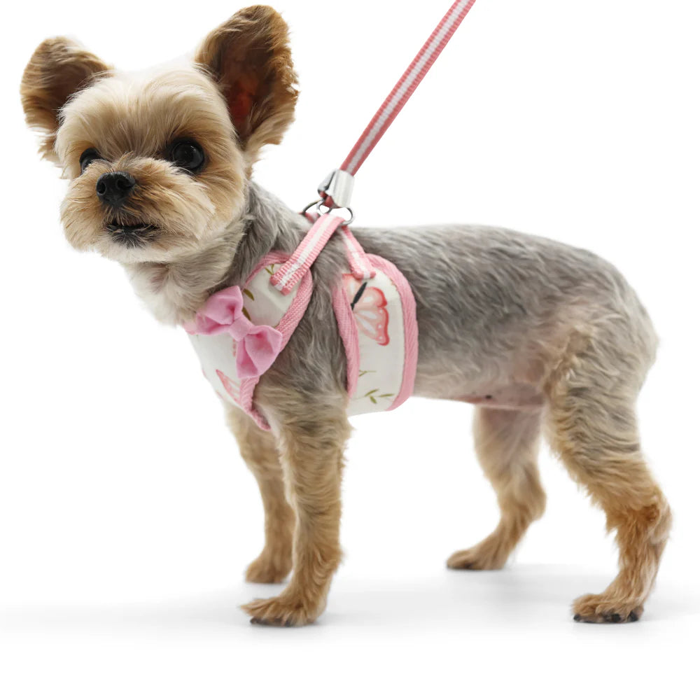 Dogo Pet -  EasyGo Butterfly Harness & Lead