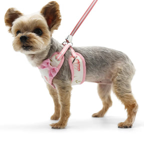Dogo Pet -  EasyGo Butterfly Harness & Lead