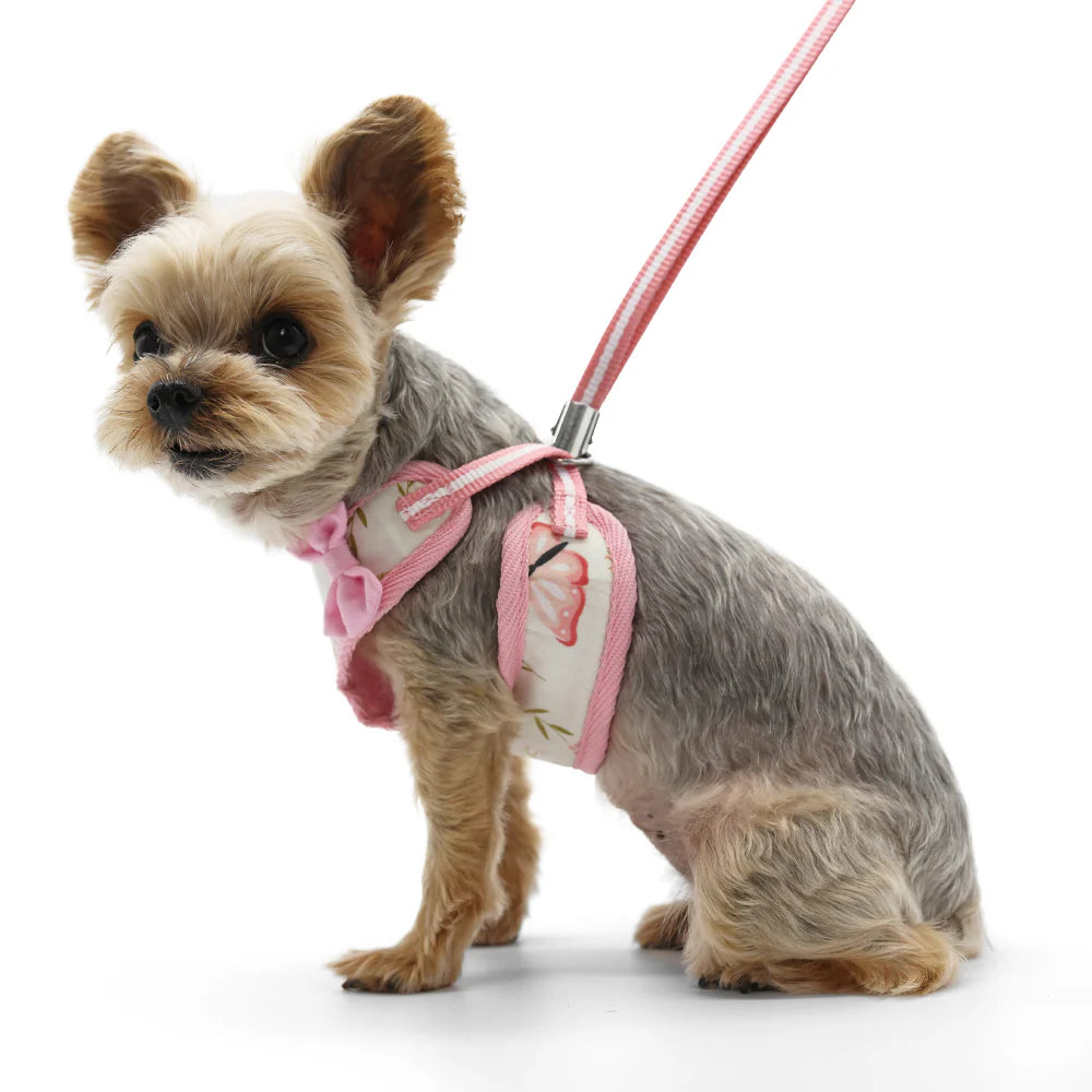 Dogo Pet -  EasyGo Butterfly Harness & Lead