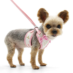Dogo Pet -  EasyGo Butterfly Harness & Lead