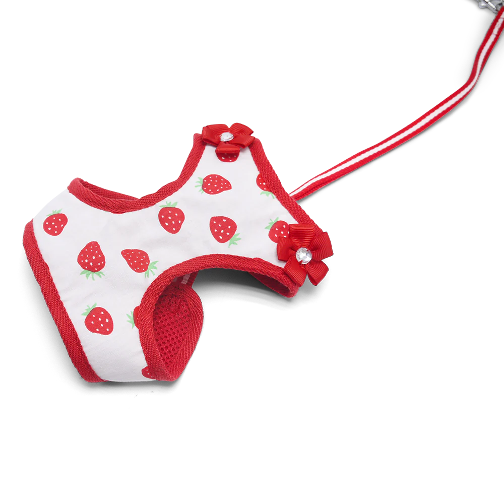 Dogo Pet -  EasyGo Strawberry Harness & Lead