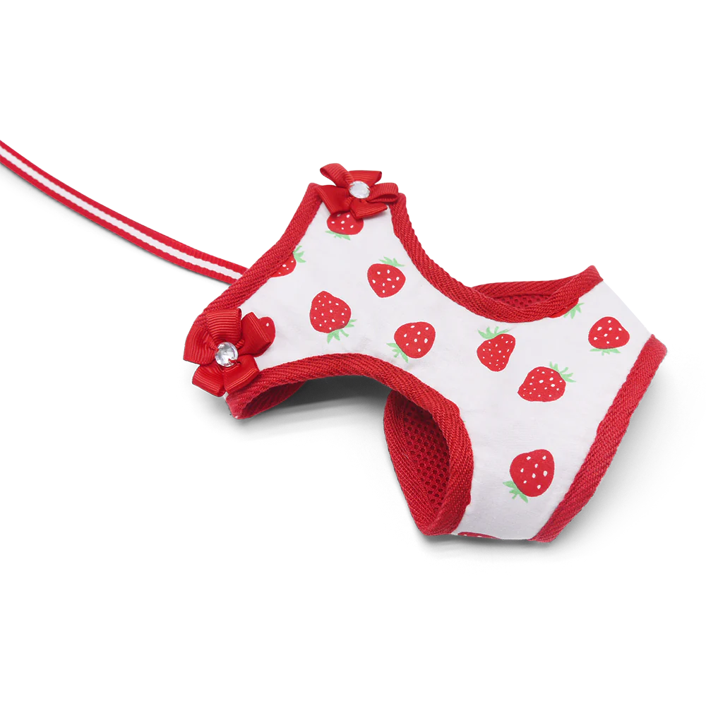 Dogo Pet -  EasyGo Strawberry Harness & Lead