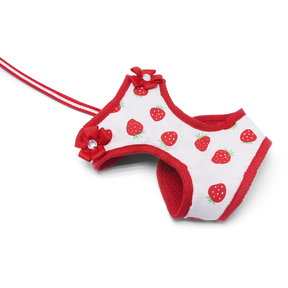 Dogo Pet -  EasyGo Strawberry Harness & Lead