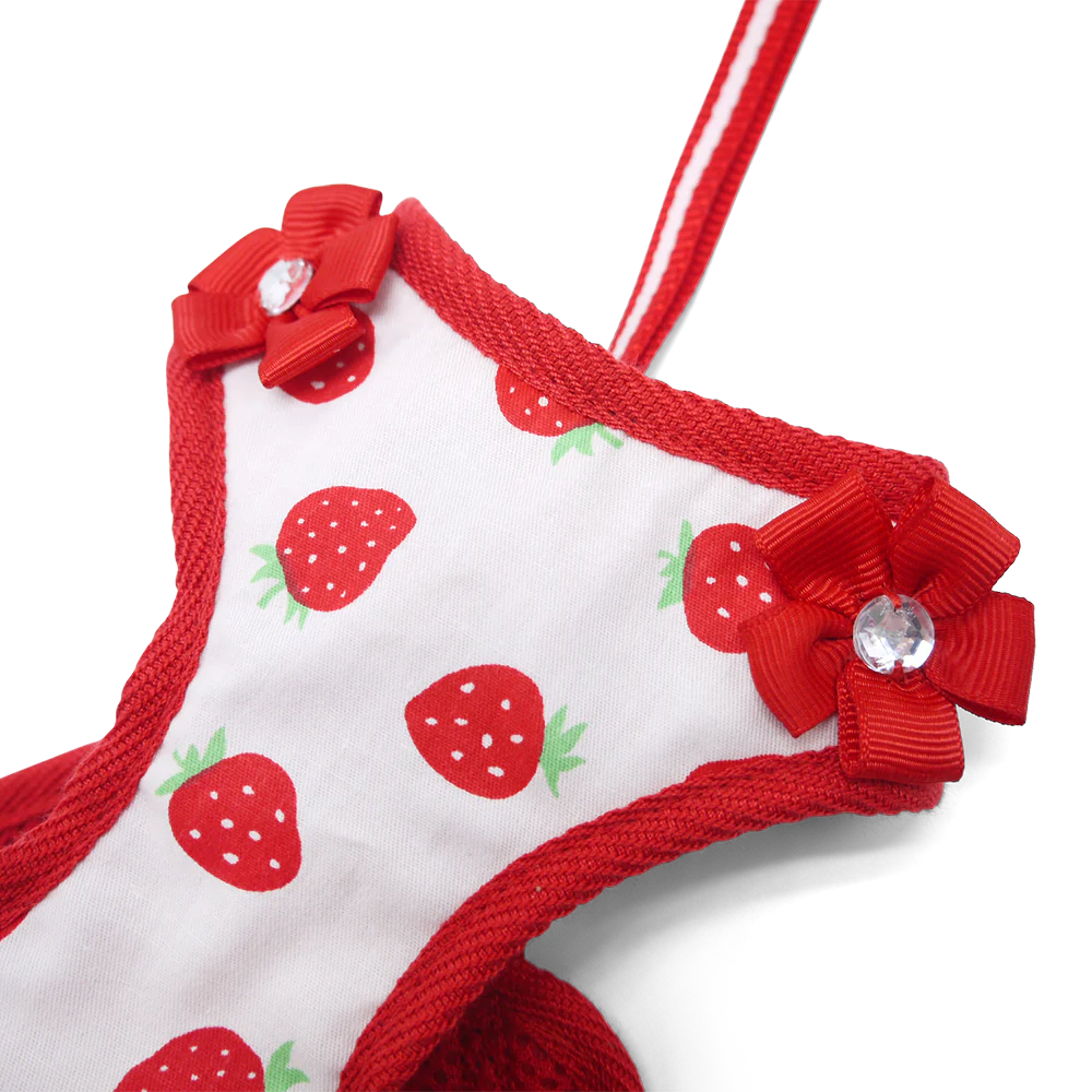 Dogo Pet -  EasyGo Strawberry Harness & Lead