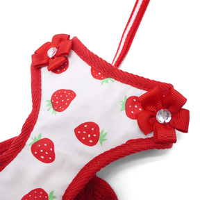 Dogo Pet -  EasyGo Strawberry Harness & Lead