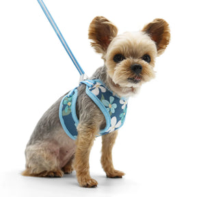 Dogo Pet -  EasyGo Wildflower Harness & Lead