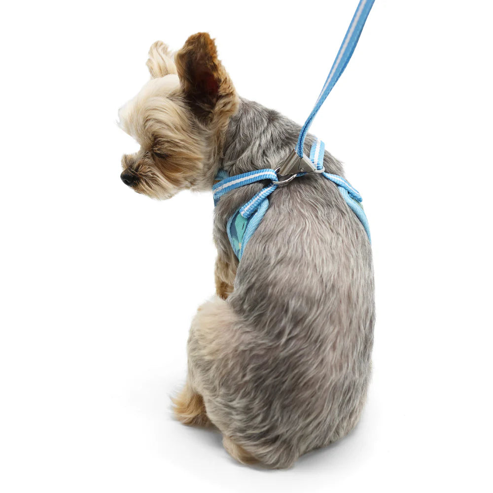 Dogo Pet -  EasyGo Wildflower Harness & Lead