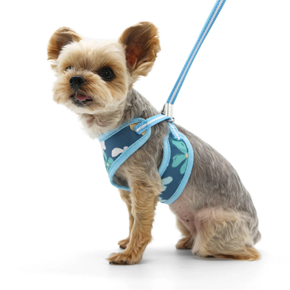 Dogo Pet -  EasyGo Wildflower Harness & Lead