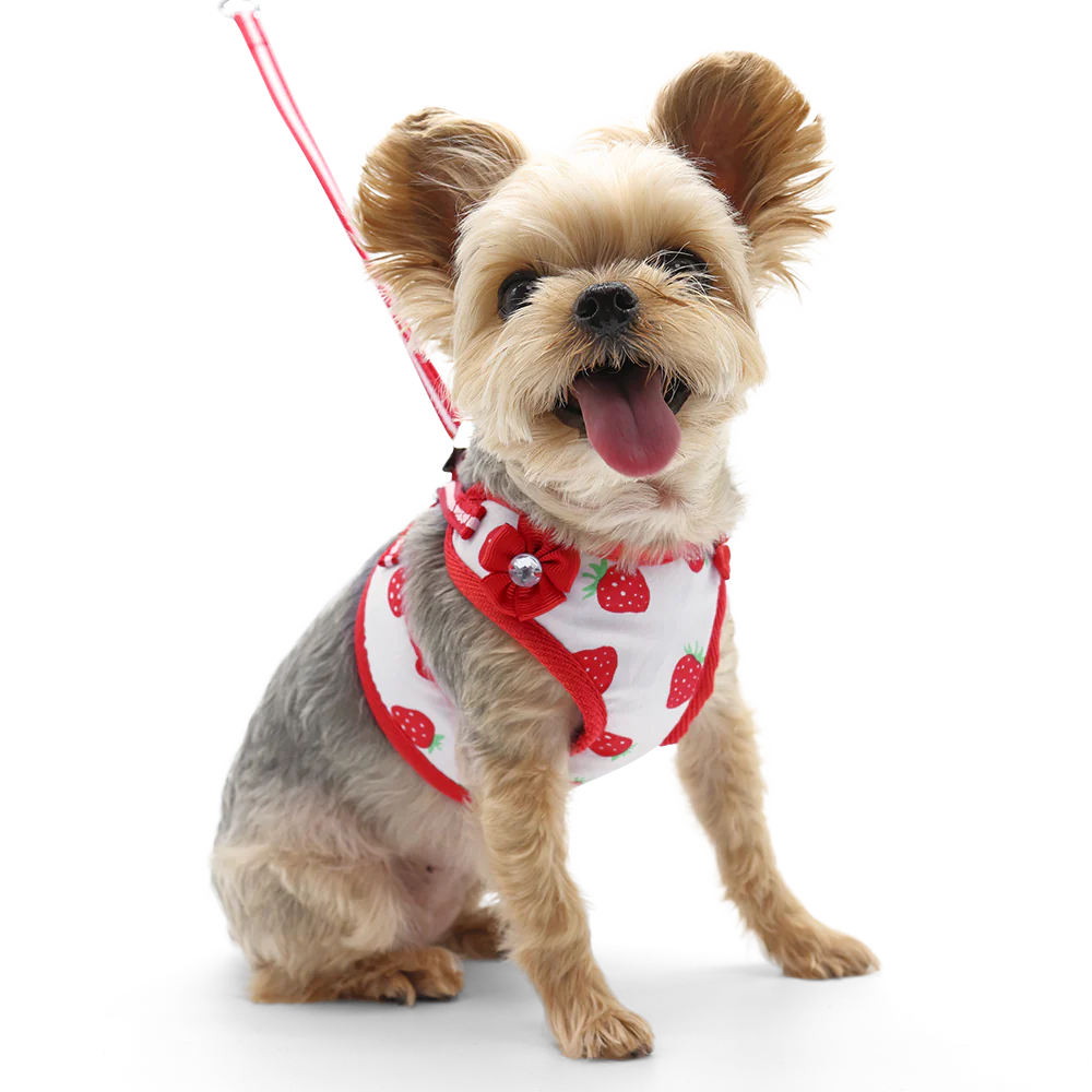 Dogo Pet -  EasyGo Strawberry Harness & Lead