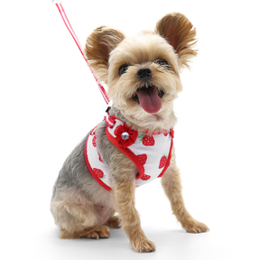 Dogo Pet -  EasyGo Strawberry Harness & Lead