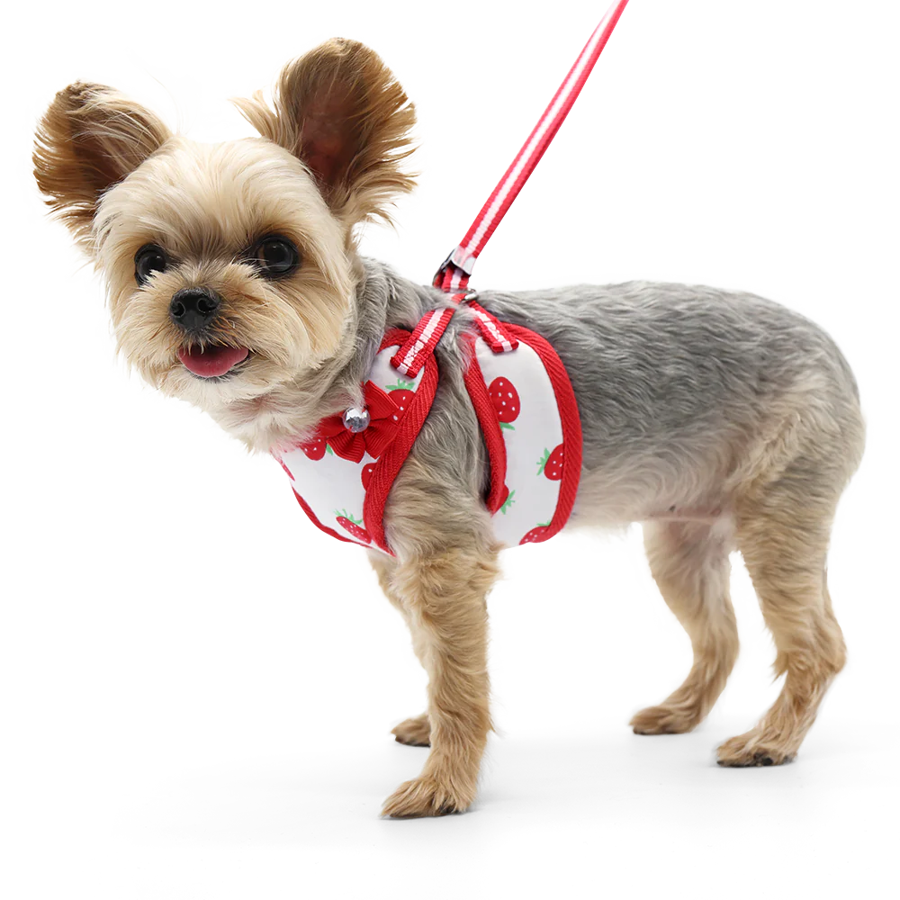Dogo Pet -  EasyGo Strawberry Harness & Lead
