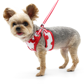 Dogo Pet -  EasyGo Strawberry Harness & Lead