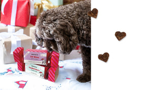 Bocce's Bakery - Elf Bites Soft & Chewy Dog Treats