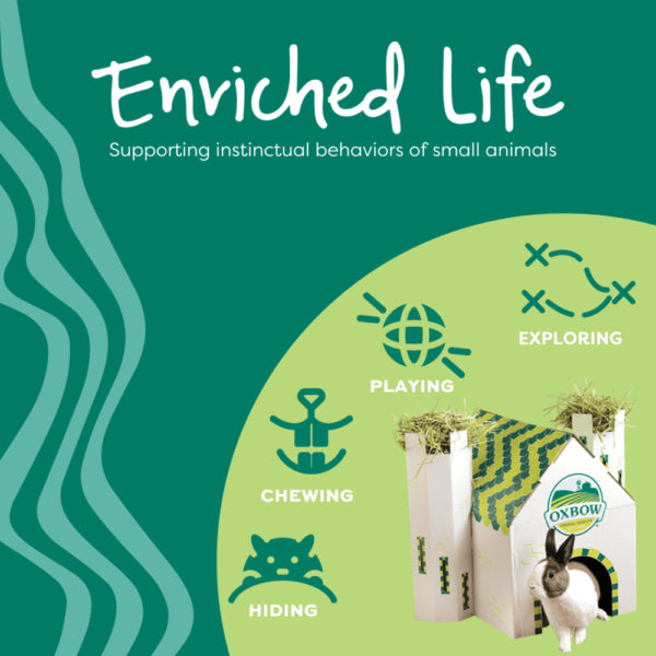 Oxbow - Enriched Life Wobble Teaser Small Animal Toy by Oxbow