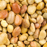 Central Pet Houston - Pebble Shallow Creek