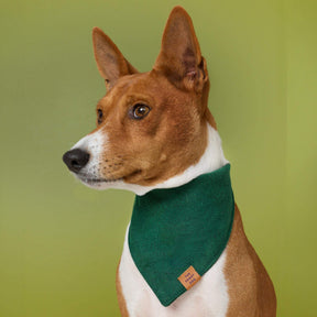 The Foggy Dog - Bandana Dog Evergreen Herringbone