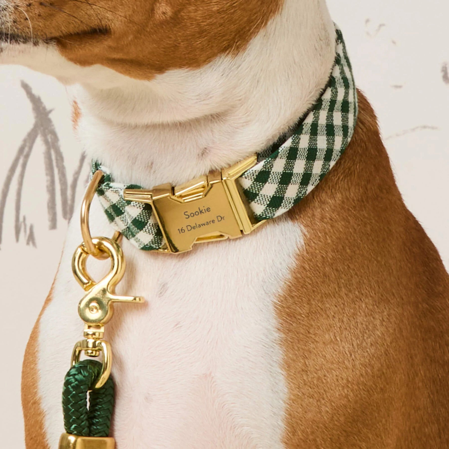 The Foggy Dog - Dog Collar Evergreen Gingham