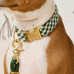 The Foggy Dog - Dog Collar Evergreen Gingham