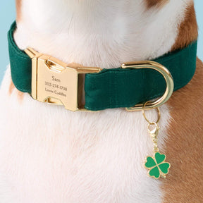 The Foggy Dog - Collar Charm Lucky Clover
