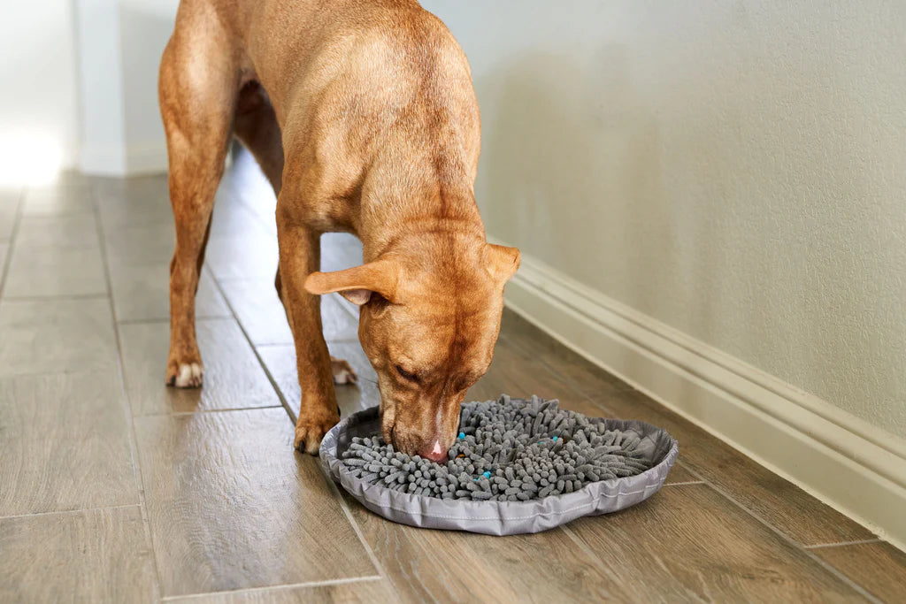 Pet Parents - Forager Bowl Meadow 9"