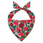 The Foggy Dog - Bandana Dog Apple of My Eye