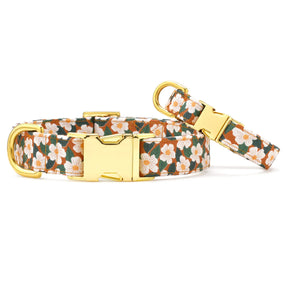 The Foggy Dog - Dog Collar Chestnut Rose