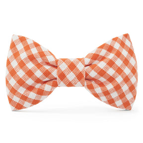 The Foggy Dog - Dog Bow Tie Cider Gingham