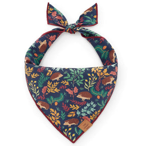 The Foggy Dog - Bandana Hedgehog Hollow - Southern Agriculture 