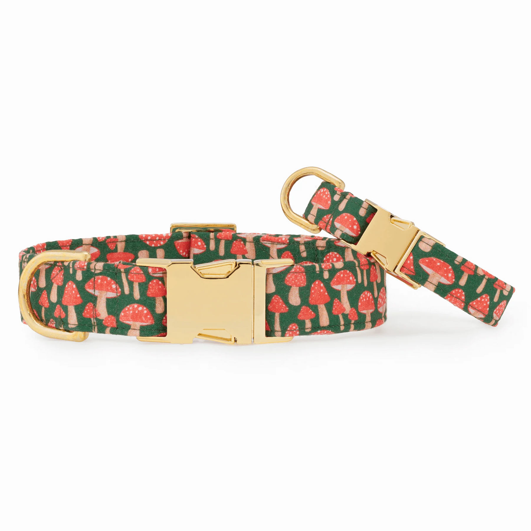 The Foggy Dog - Dog Collar Mushroom Meadow