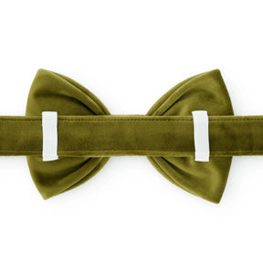 The Foggy Dog - Dog Bow Tie Olive Velvet