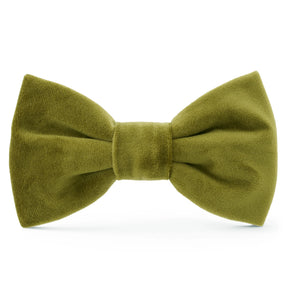The Foggy Dog - Dog Bow Tie Olive Velvet