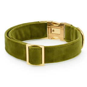The Foggy Dog - Dog Collar Olive Velvet