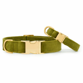 The Foggy Dog - Dog Collar Olive Velvet