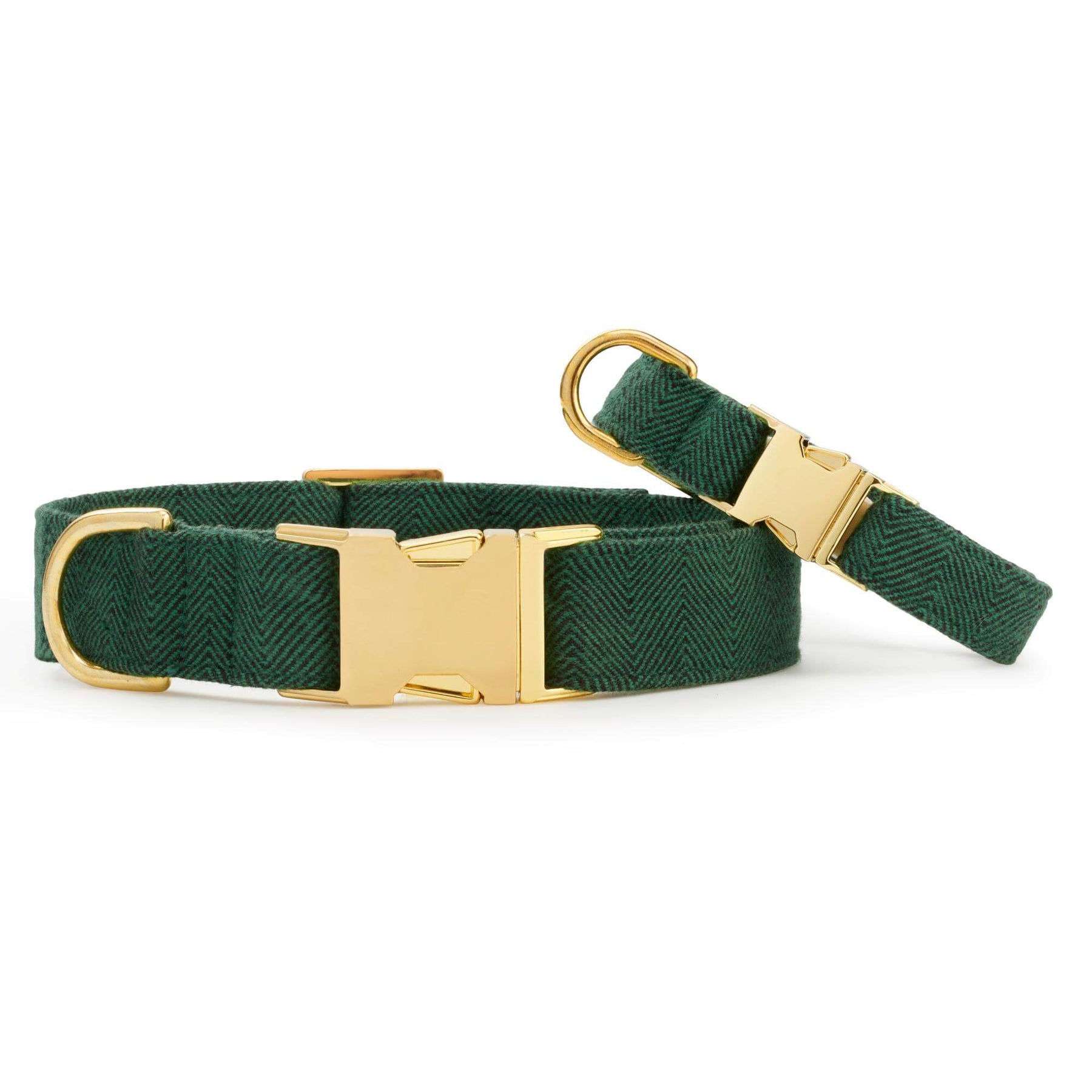 The Foggy Dog - Dog Collar Evergreen