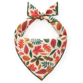 The Foggy Dog - Bandana Dog Falling Leaves