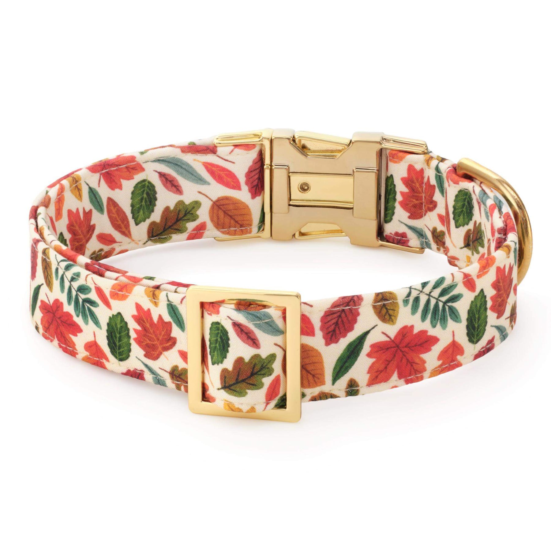 The Foggy Dog - Dog Collar Falling Leaves