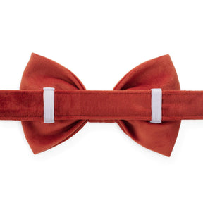 The Foggy Dog - Bow Tie Football Embroidered