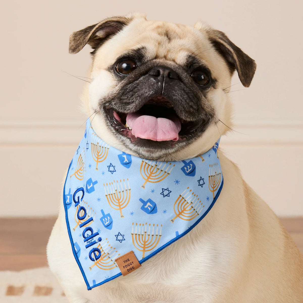 The Foggy Dog - Bandana Festival Of Lights